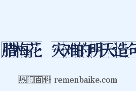 腊梅花·灾难的明天造句是什么意思的图片